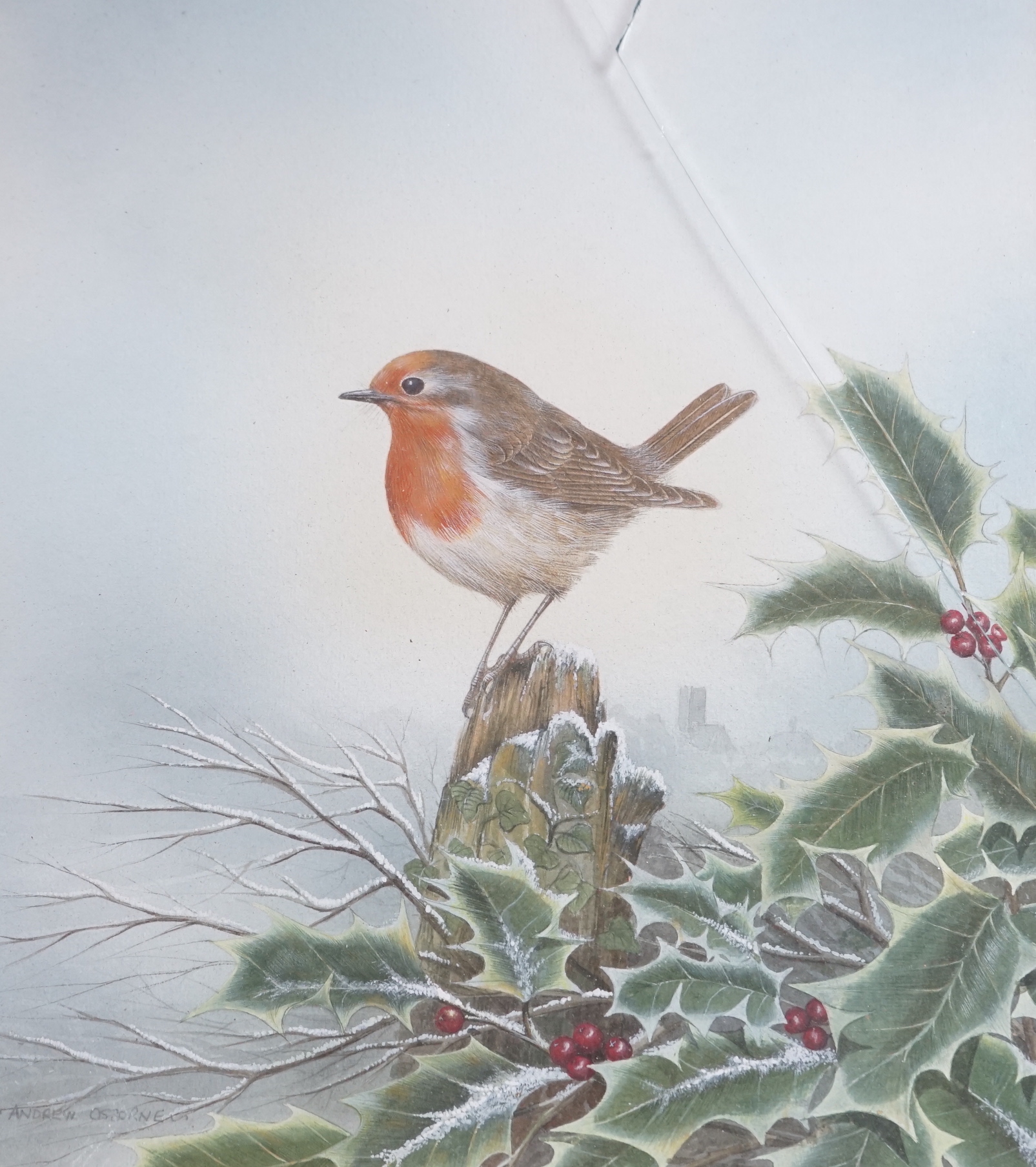 Andrew Osborne (b.1968), watercolour, Robin on a holly branch, signed, 26 x 22cm
